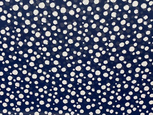 Polyester voilage imprimé pois bleu blanc