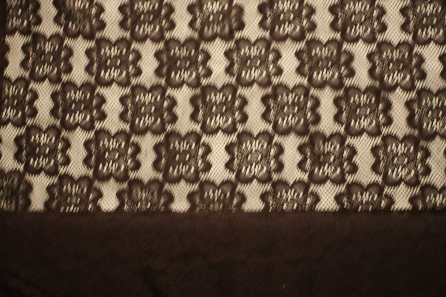 Polyester élasthanne dentelle fleurs noir