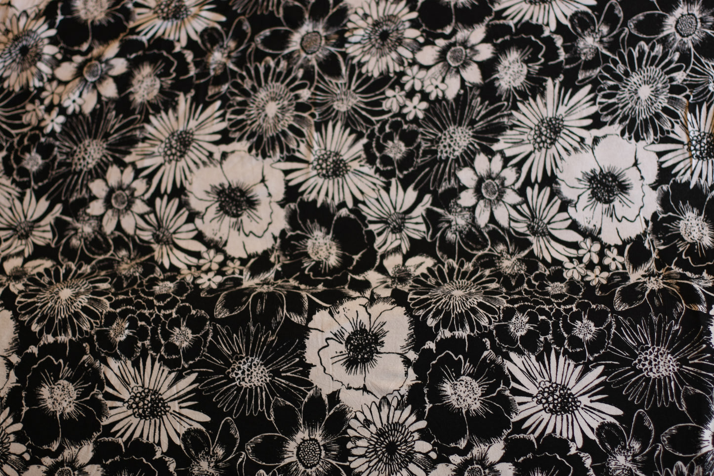 Polyester élasthanne imprimé fleurs noir blanc